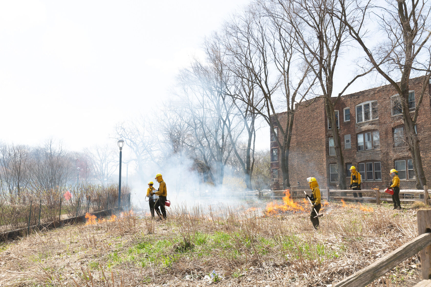 Nichols Park prescribed burn